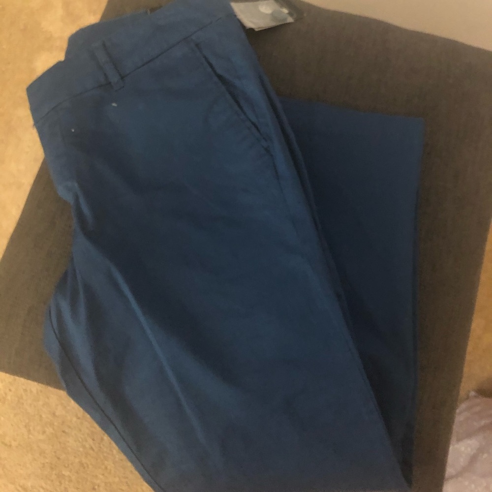Women's Blue Ankle Pants